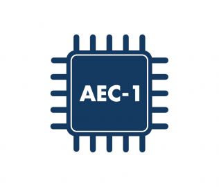 Coprocesseur optionnel AEC