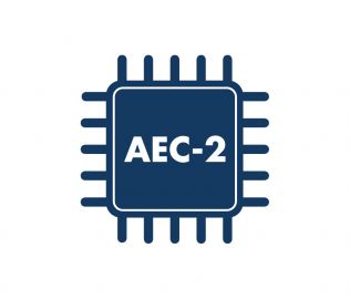 Coprocesseur optionnel AEC 16 canaux pour RADIUS NX