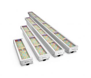 Graze Elite Powercore